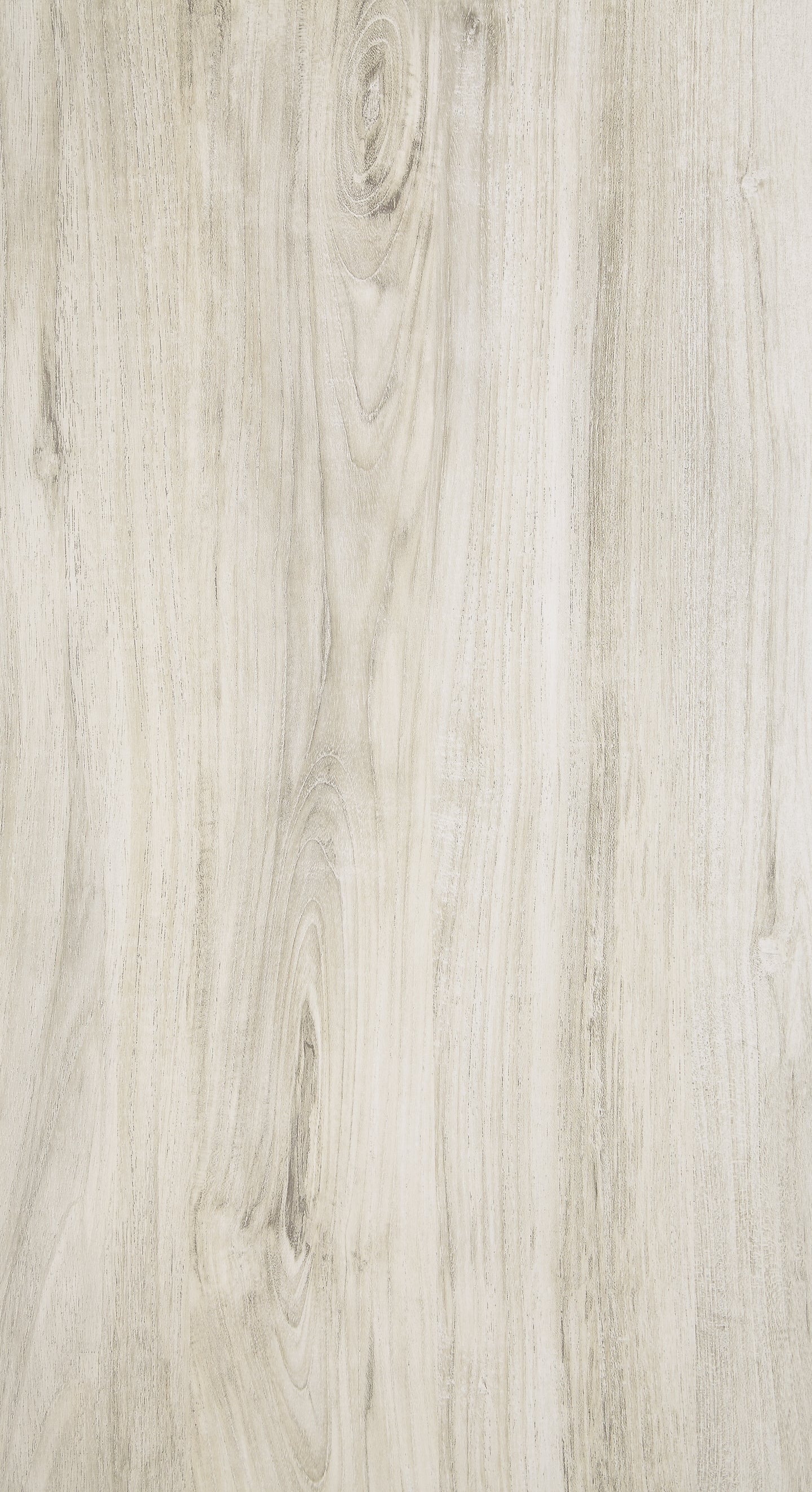 B331-57-46-91-B1 : PKG004642